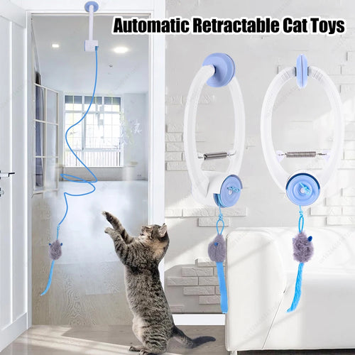 Pawmatic™ Automatic Cat Toy